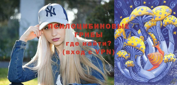 гидра Бородино
