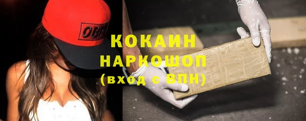 гидра Бородино