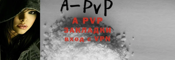 гидра Бородино