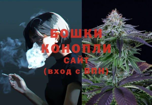 гидра Бородино