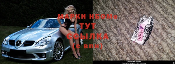 гидра Бородино