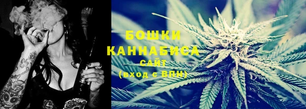 ГАЛЛЮЦИНОГЕННЫЕ ГРИБЫ Бронницы