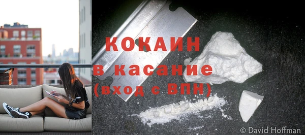 ГАЛЛЮЦИНОГЕННЫЕ ГРИБЫ Бронницы