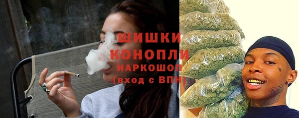 ГАЛЛЮЦИНОГЕННЫЕ ГРИБЫ Бронницы