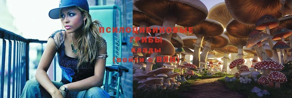 гидра Бородино