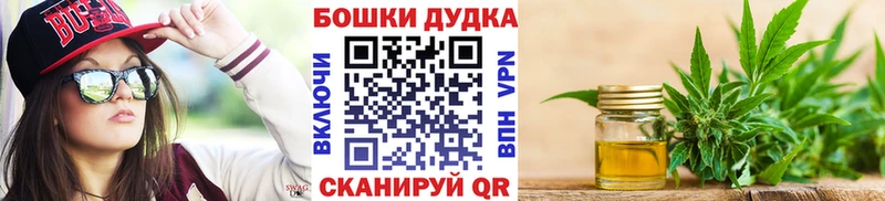 Канабис семена  Кириллов 